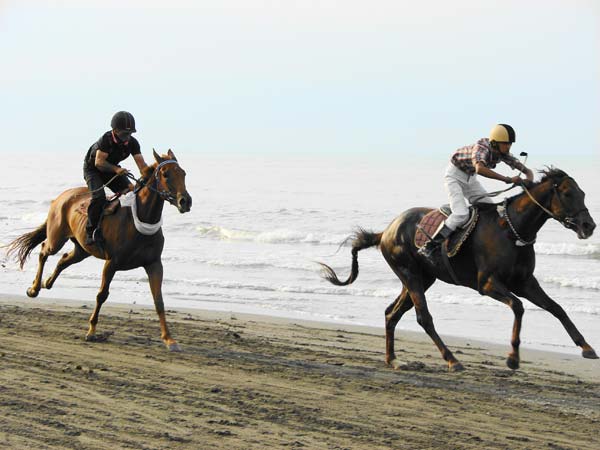 رقابت های اسب دوانی در چابکسر  رودسر برگزار شد-تصویر ششم